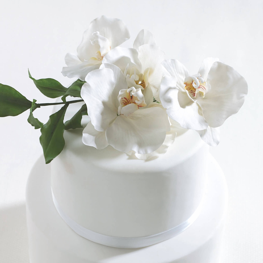 Orchid Online Classes home page 01