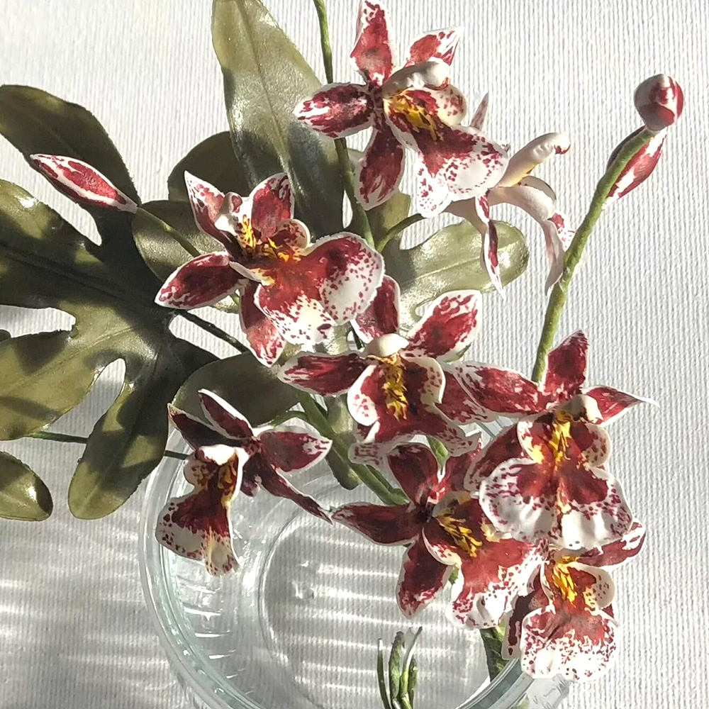 Cambria Orchid 02