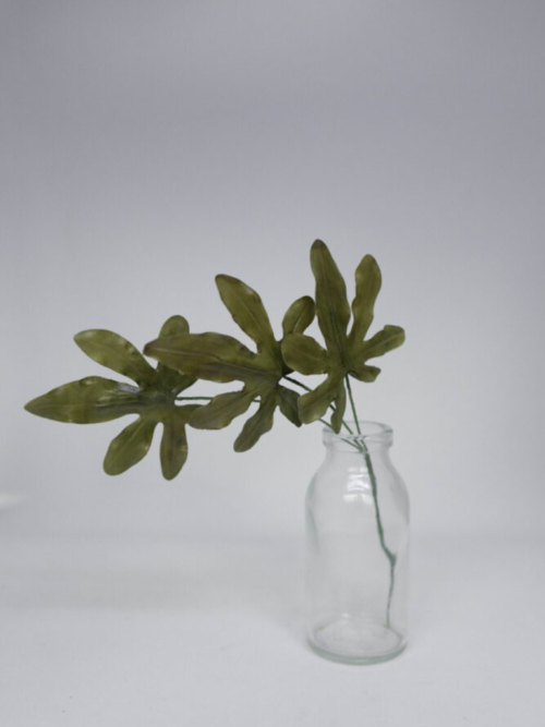 Japonica leafs
