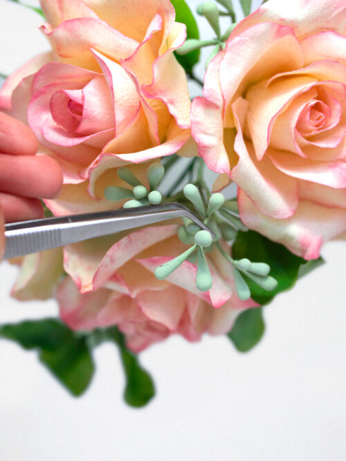 Long Tweezers with Teeth 02