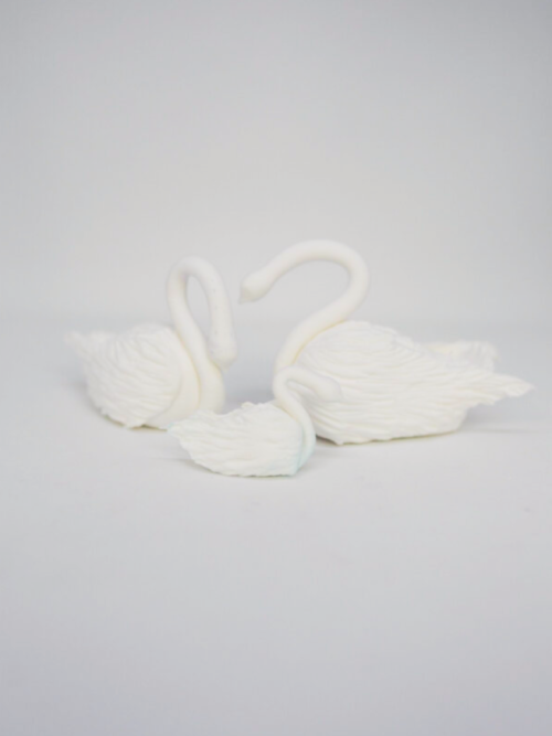 Swans3
