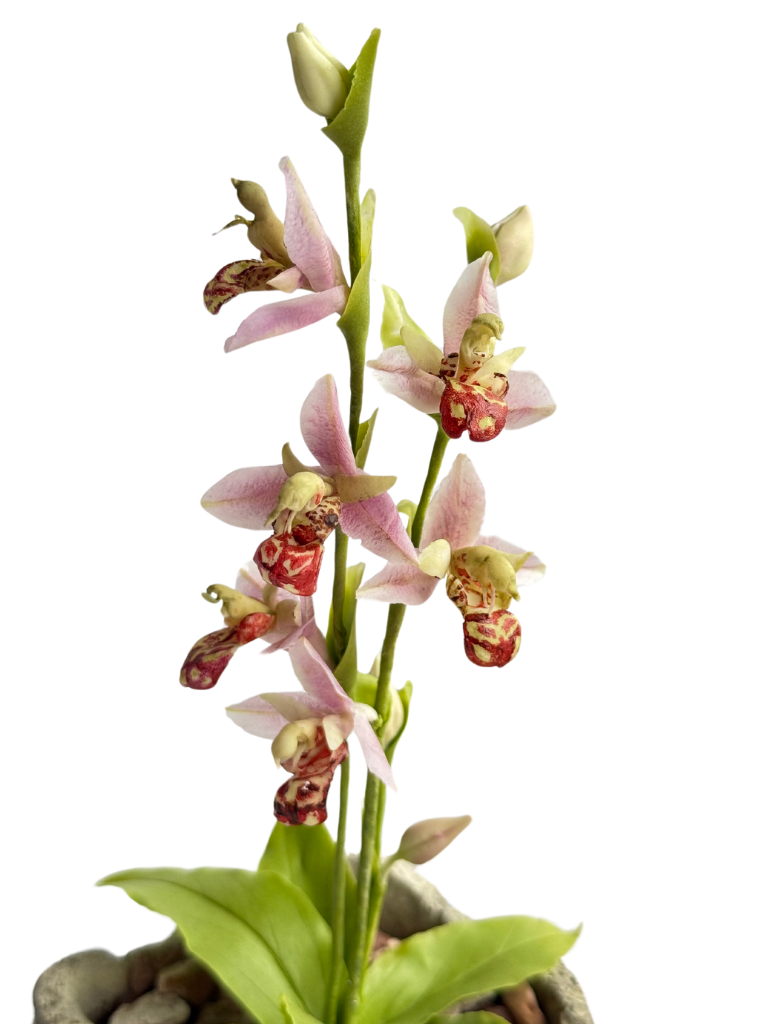 HANDMADE BEE ORCHID HANDMADE BEE ORCHID
