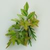 Leaf Garland1