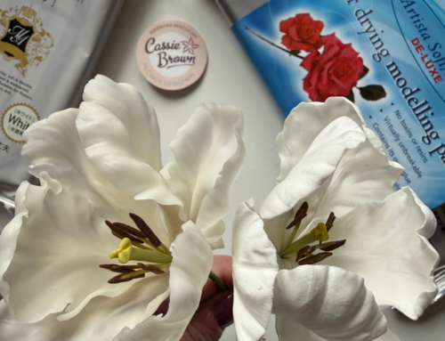Let’s Talk About Modena And Artista Soft Deluxe, What Is The Difference? And How To Mix Them